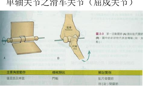 屈戌關節|屈戌关节